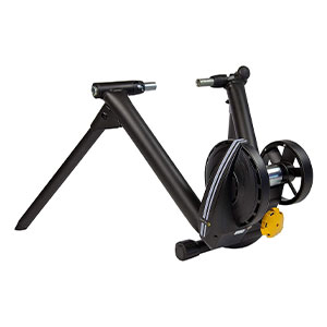 Saris M2 Bike Trainer