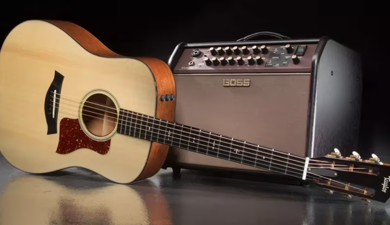 Best Beginner Acoustic Guitar Amps And Kit On 2024