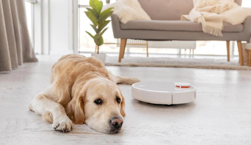 Robot Vacuum For Pet Hair